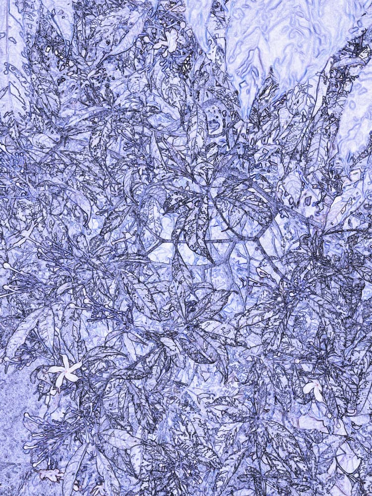 Serene Blue Foliage by Santhosh ch — canvas wall art