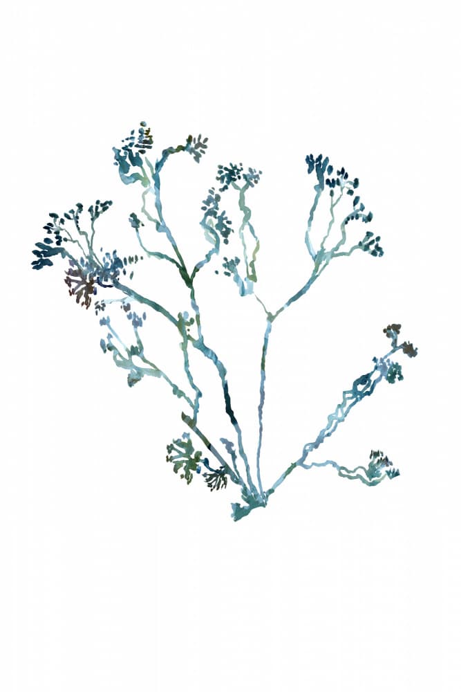 Delicate Botanical Sprig by cartissi — canvas wall art