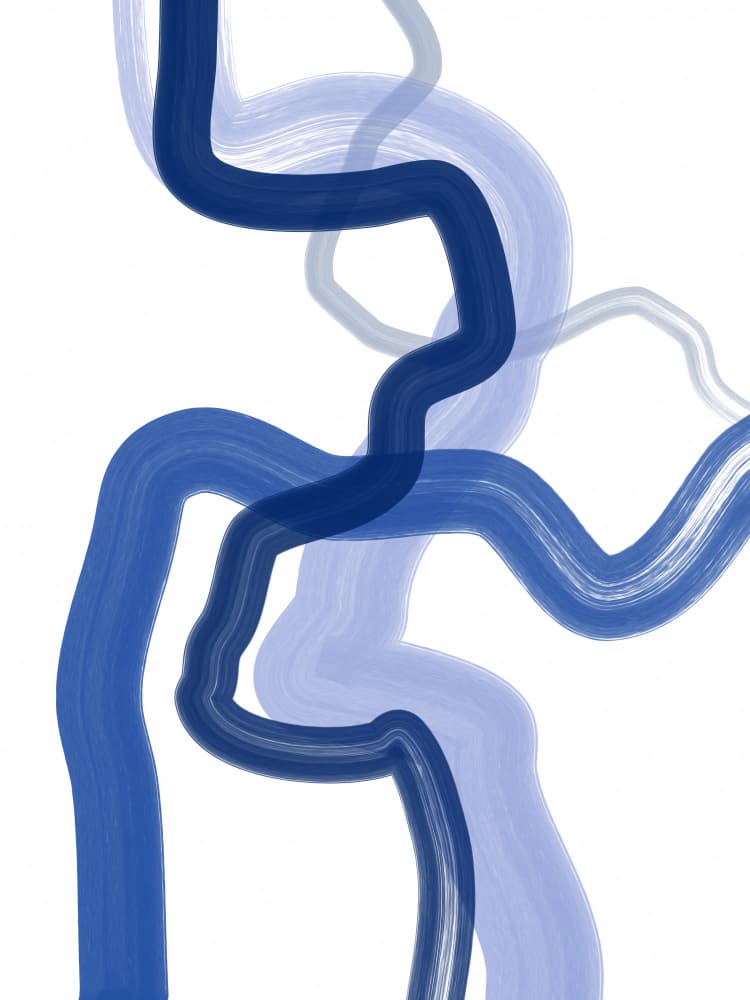 Fluid Blue Curves by Elena Ristova — canvas wall art