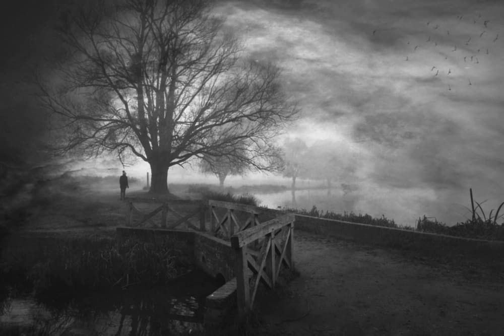 Solitary Tree Misty Path by Robert Fabrowski — canvas wall art