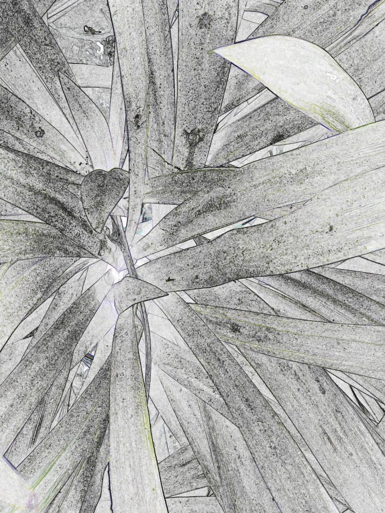 Abstract Leaf Pattern by Santhosh ch — canvas wall art