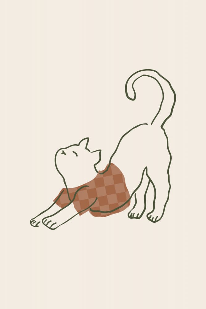 Happy Stretching Cat