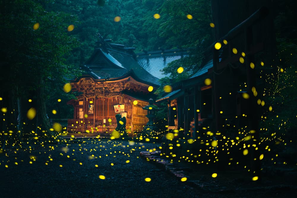 Enchanted Temple Fireflies by Vu van quan — canvas wall art