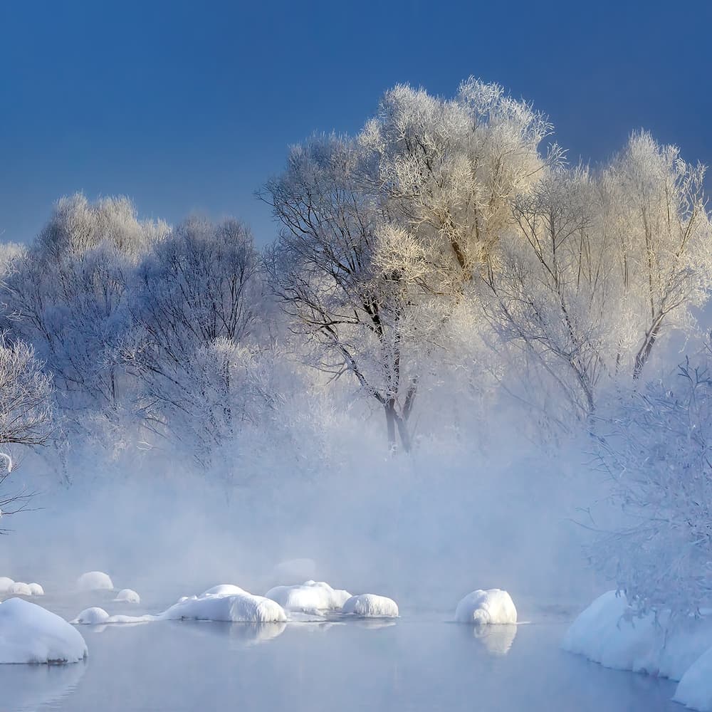 Misty Winter Landscape by Hua Zhu — canvas wall art