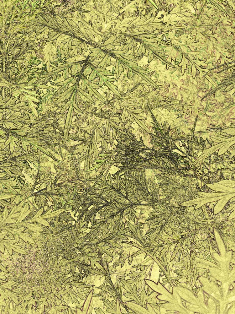Intricate Green Leaves by Santhosh ch — canvas wall art
