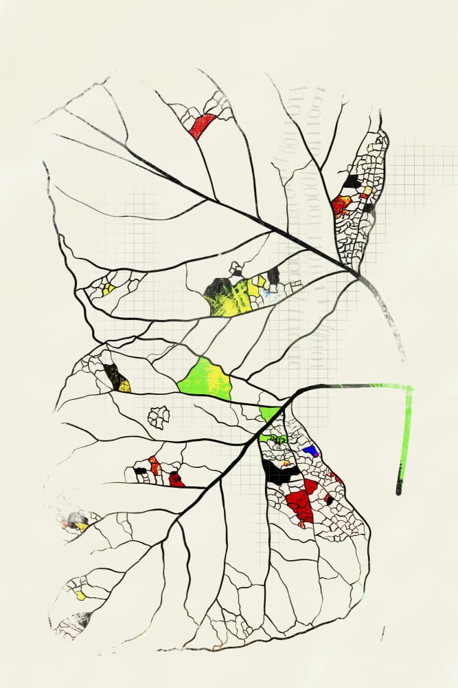 Nature's Digital Code by Ankie Kooi — canvas wall art