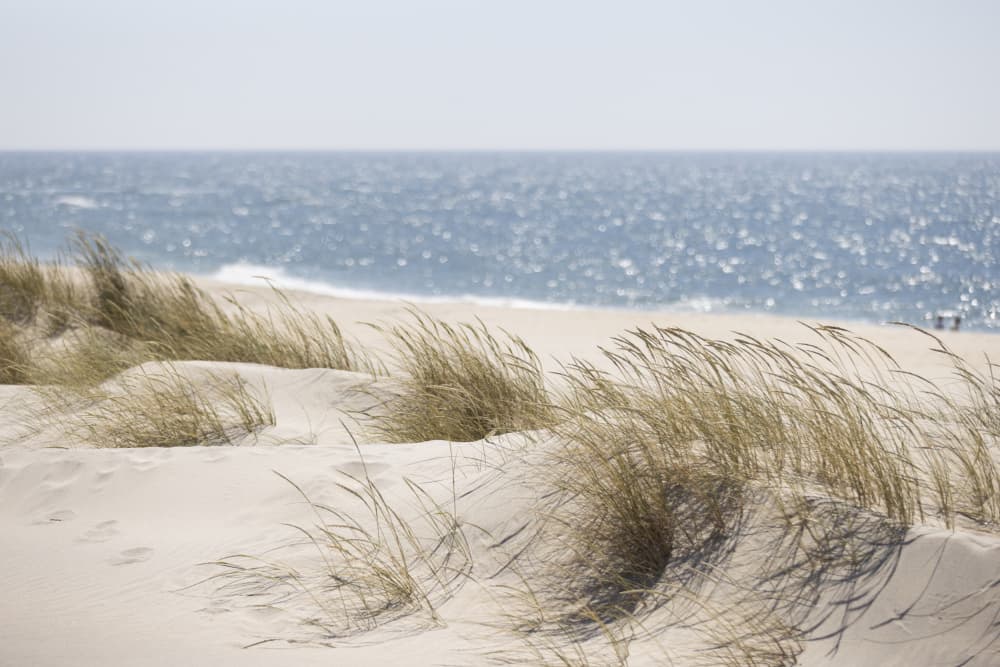 Serene Beach Dunes by Mareike Böhmer — canvas wall art