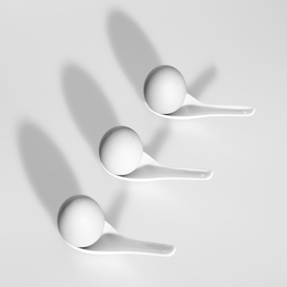 White Eggs Long Shadows by Jonathan Lai — canvas wall art