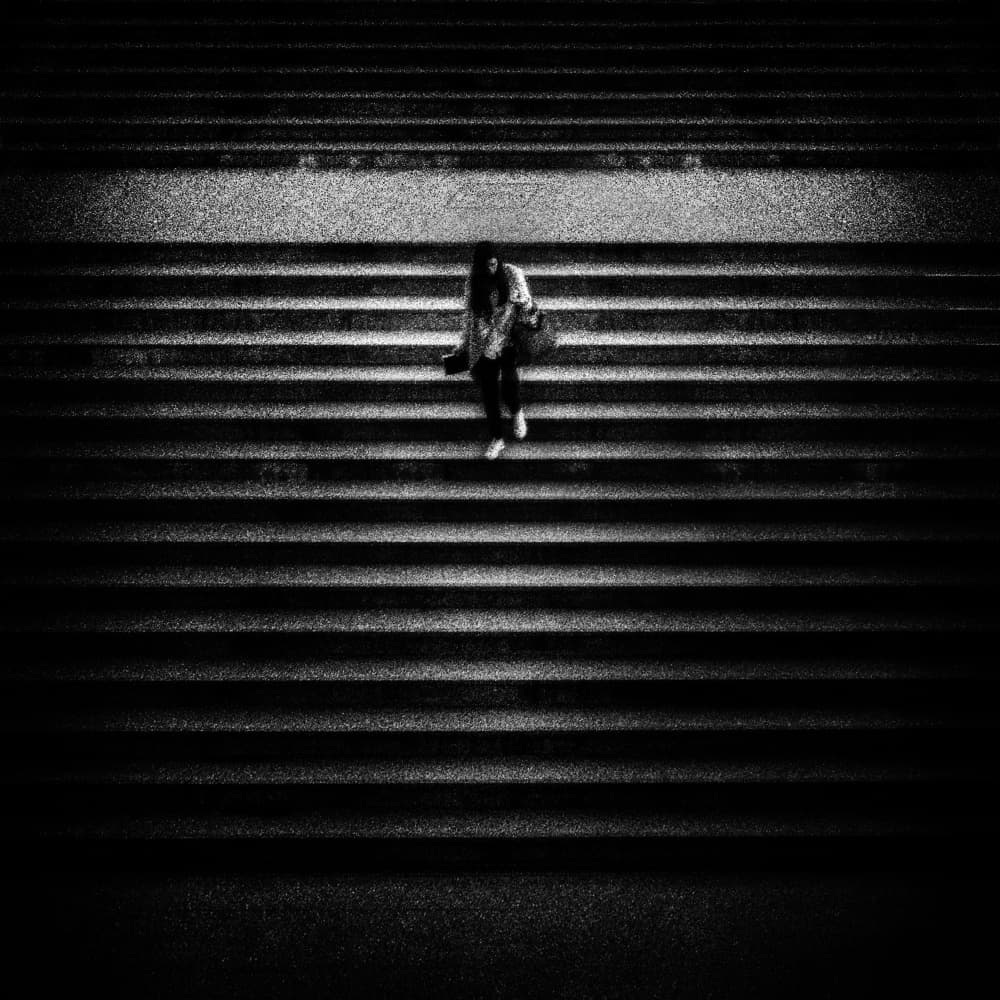 Solitary Descent by Paulo Abrantes — canvas wall art