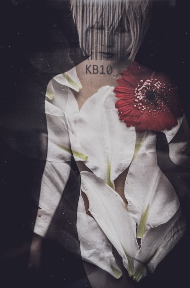 Floral Identity Barcode by Kurosaki Sangan — canvas wall art