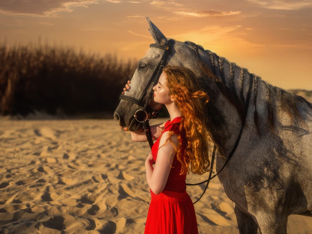 Golden Hour Horse Connection by Svetlana Kirzh — canvas wall art