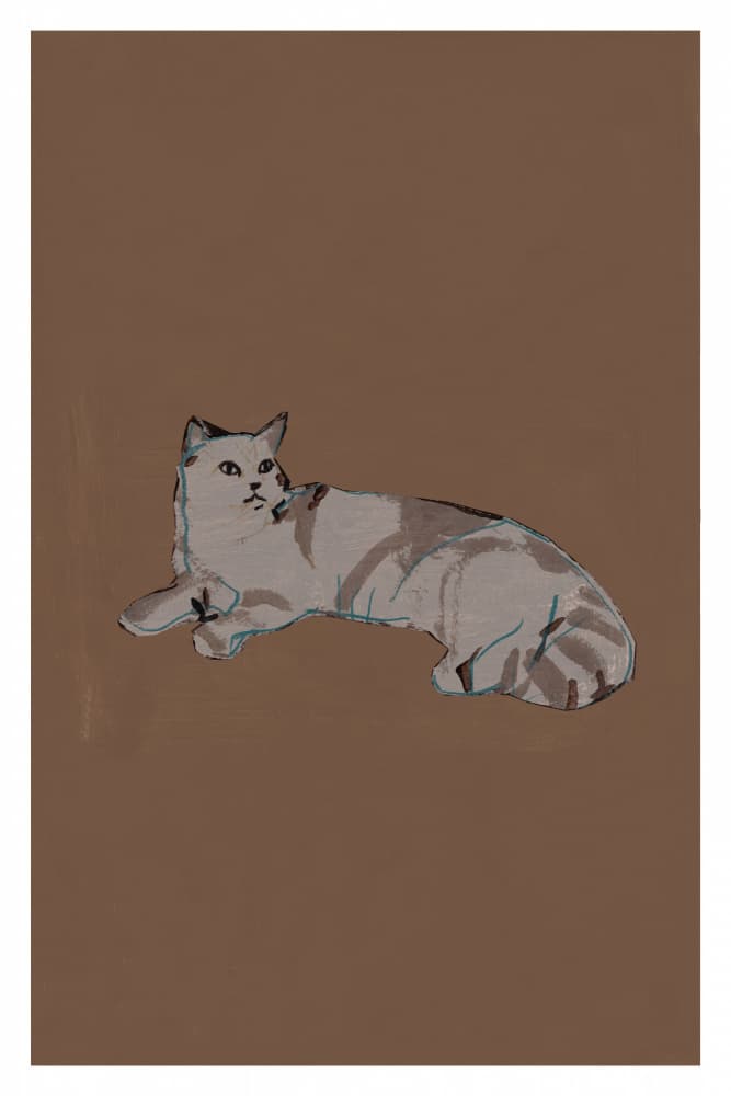 Relaxed Grey Cat by cartissi — canvas wall art
