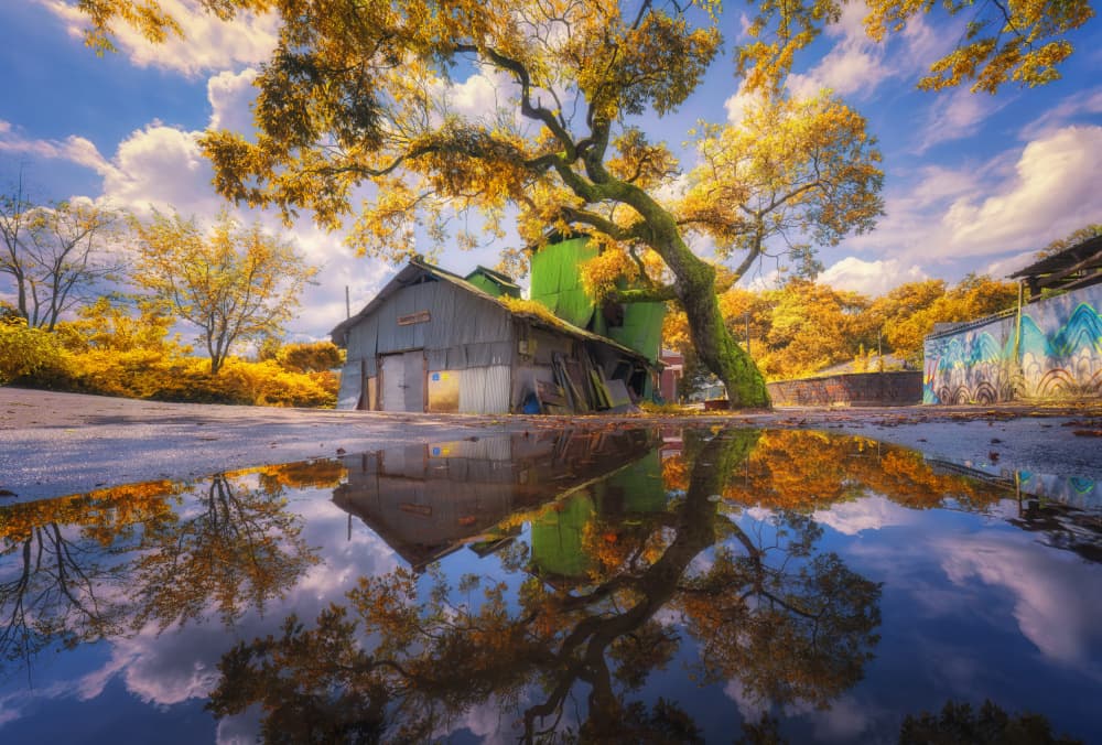 Golden Autumn Reflection by Tiger Seo — canvas wall art