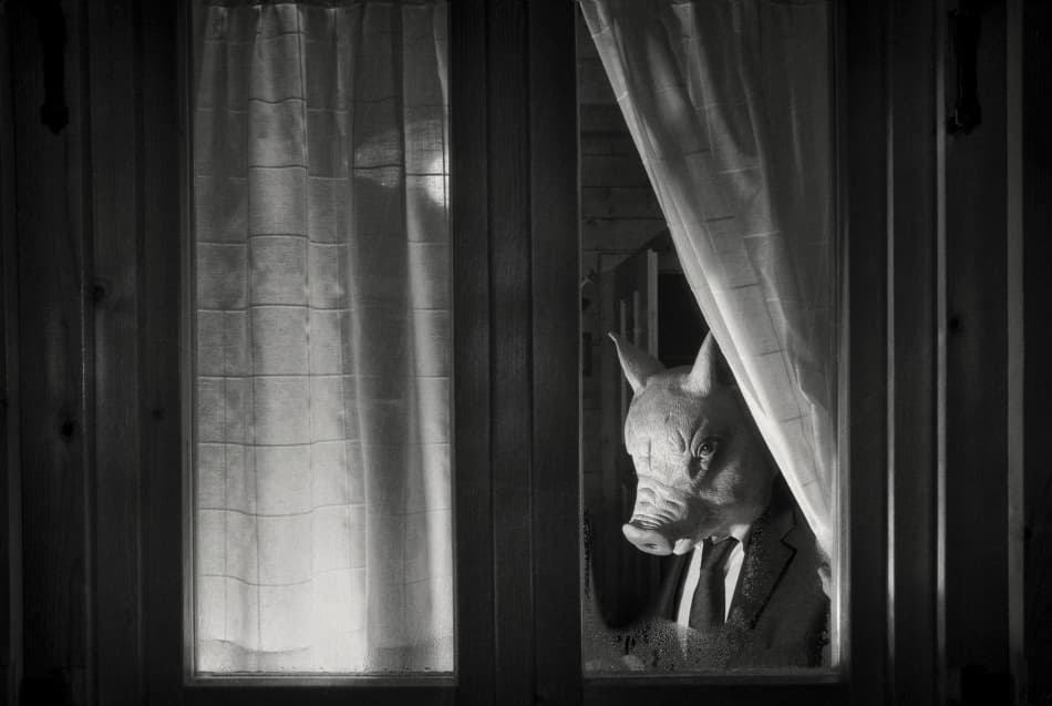 Noir Pig Mask by Stefano Miserini — canvas wall art