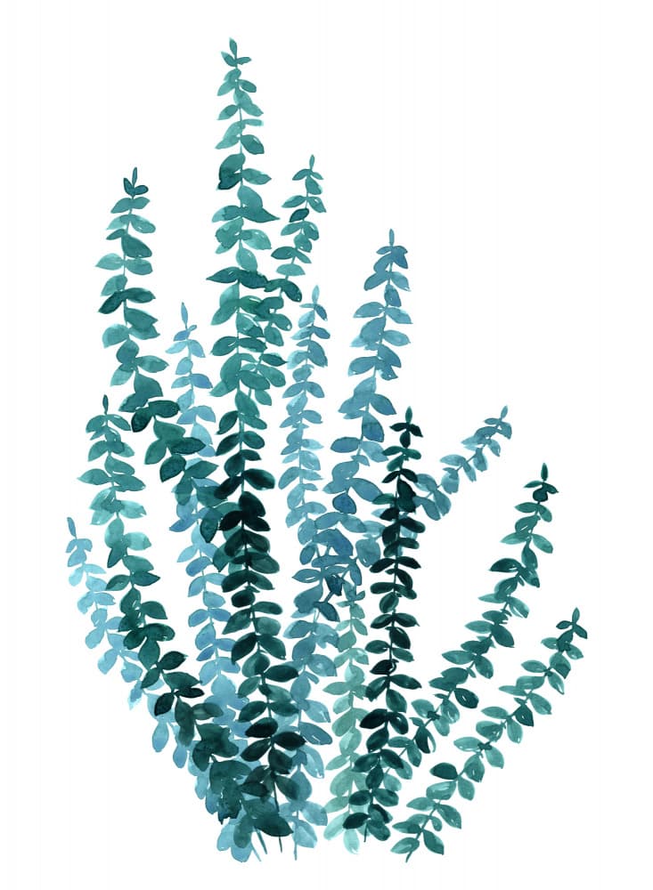Green Watercolor Leaves by Rosana Laiz Blursbyai — canvas wall art