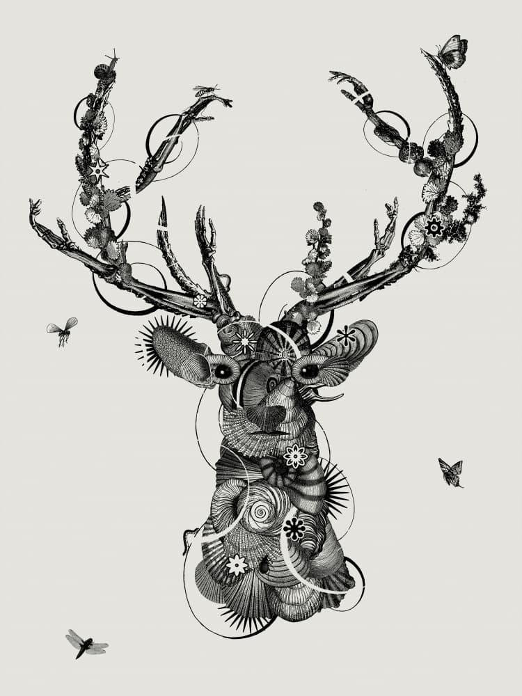 Intricate Spirit Stag by Jaco Putker — canvas wall art