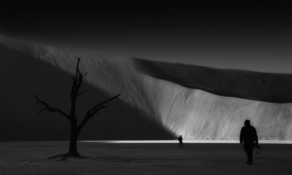 Stark Desert Silhouettes by Yang Jiao — canvas wall art