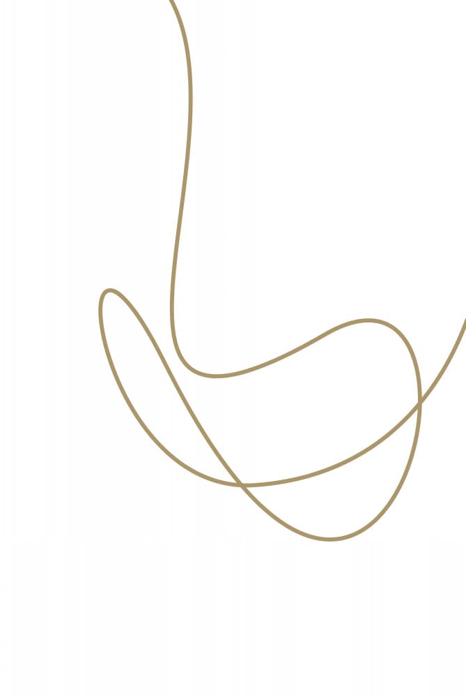 Flowing Abstract Line by Oju Design — canvas wall art