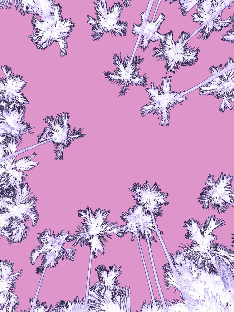 Dreamy Pink Palms by Santhosh ch — canvas wall art