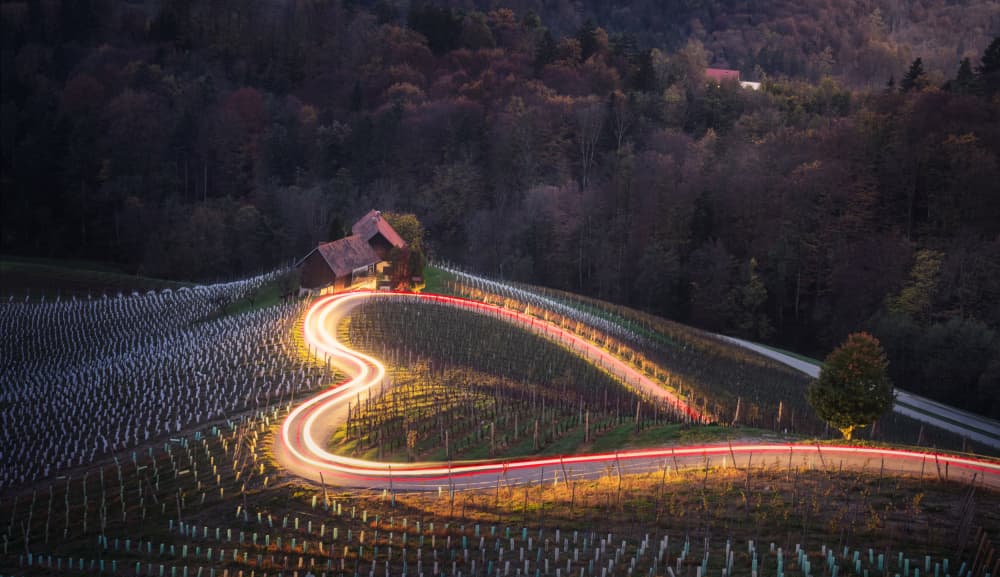 Heart Road Vineyard Glow by joanaduenas — canvas wall art