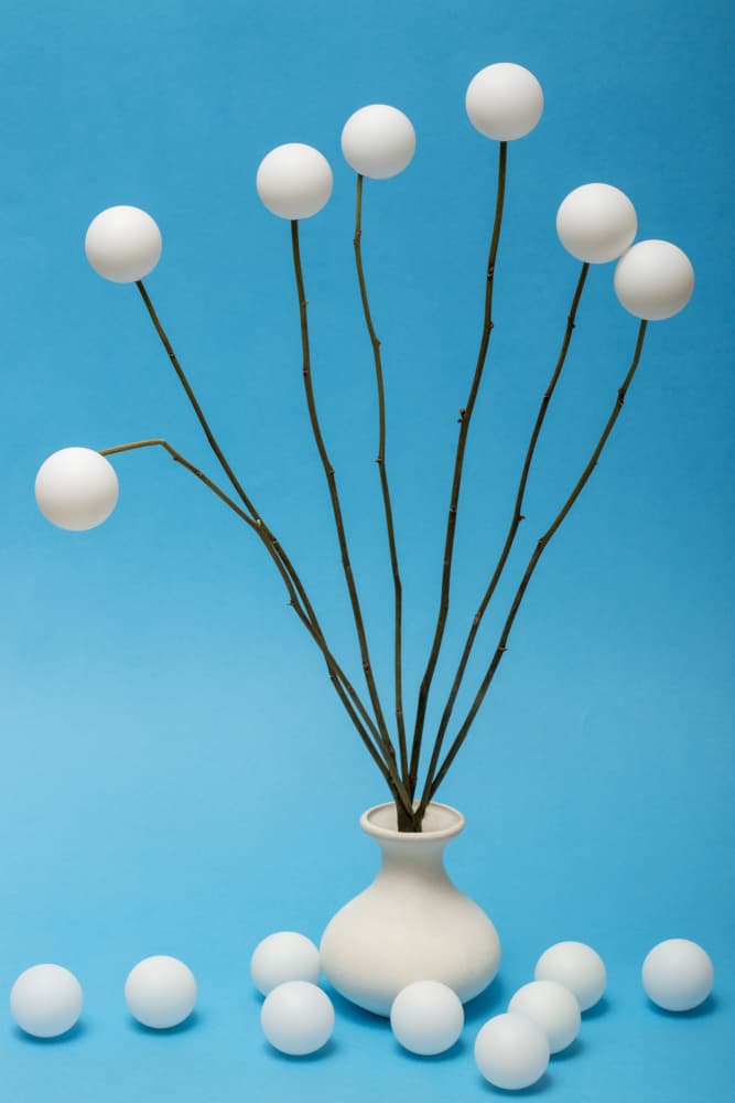 Minimalist Sphere Bouquet by Brig Barkow — canvas wall art