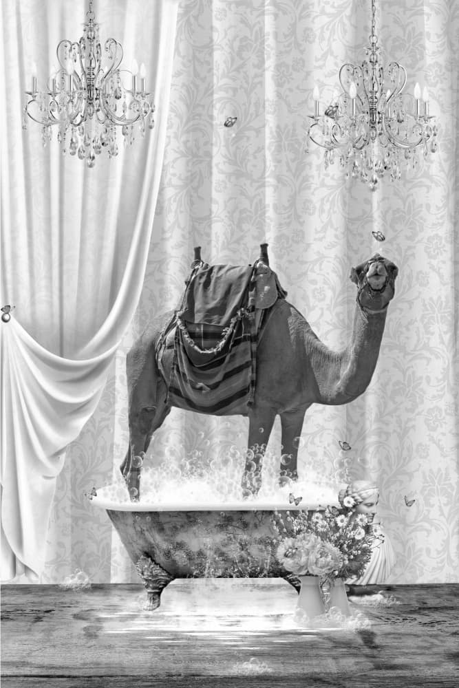 Surreal Camel Bath by Sue Skellern — canvas wall art