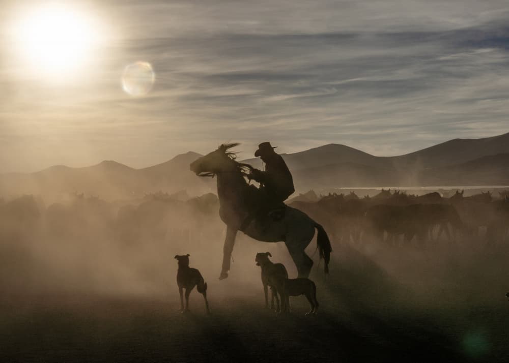 Cowboy Sunset Ride by Corinne Spector — canvas wall art