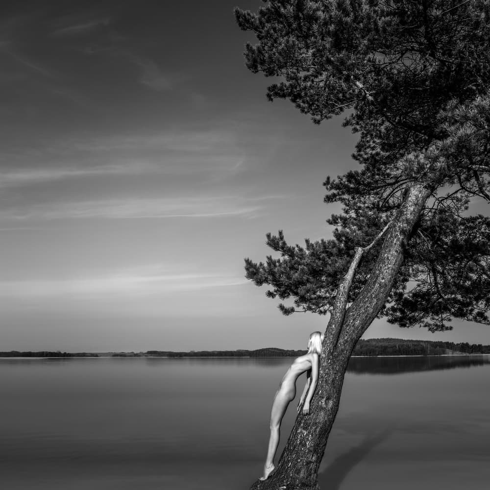 Serene Figure By Lake Tree by Paulius Stefanovicius — canvas wall art