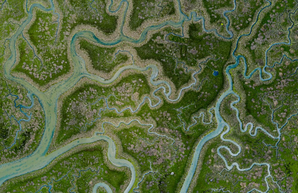 Tidal Marsh Patterns by Or Adar — canvas wall art