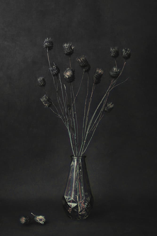Dark Botanical Still Life by Cicek Kiral — canvas wall art