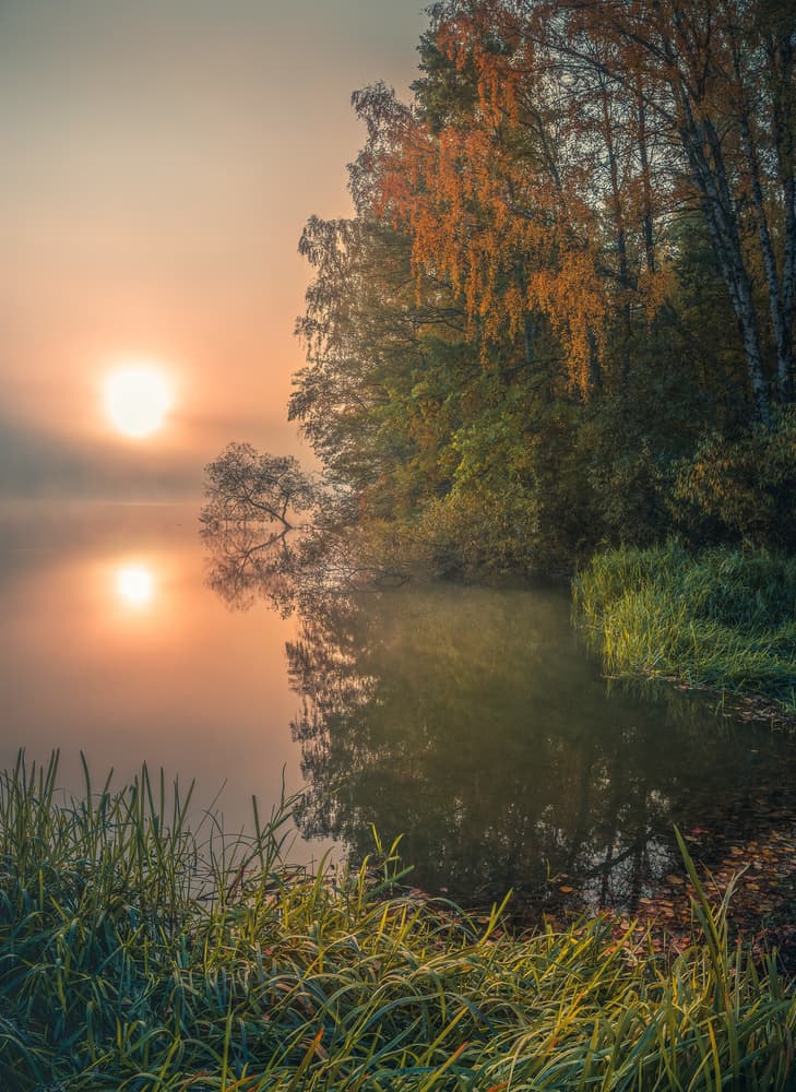 Golden Morning Lake Fog by Christian Lindsten — canvas wall art