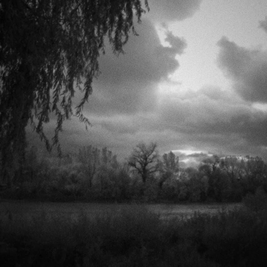 Moody River Willow by Codrin Lupei — canvas wall art