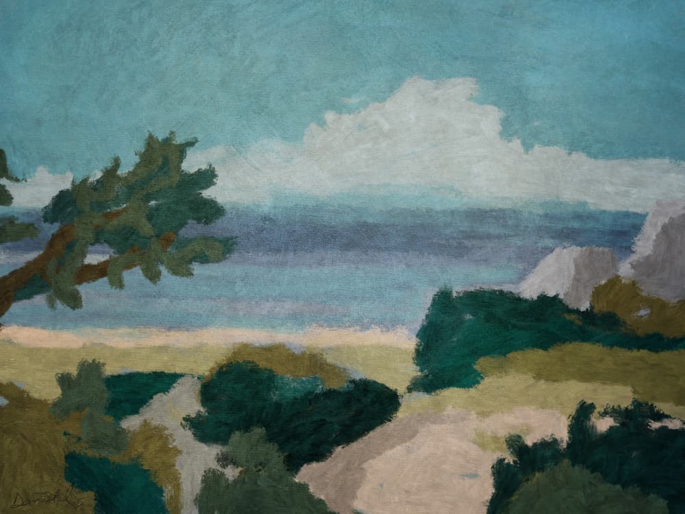 Cliff View by Dan Hobday — canvas wall art