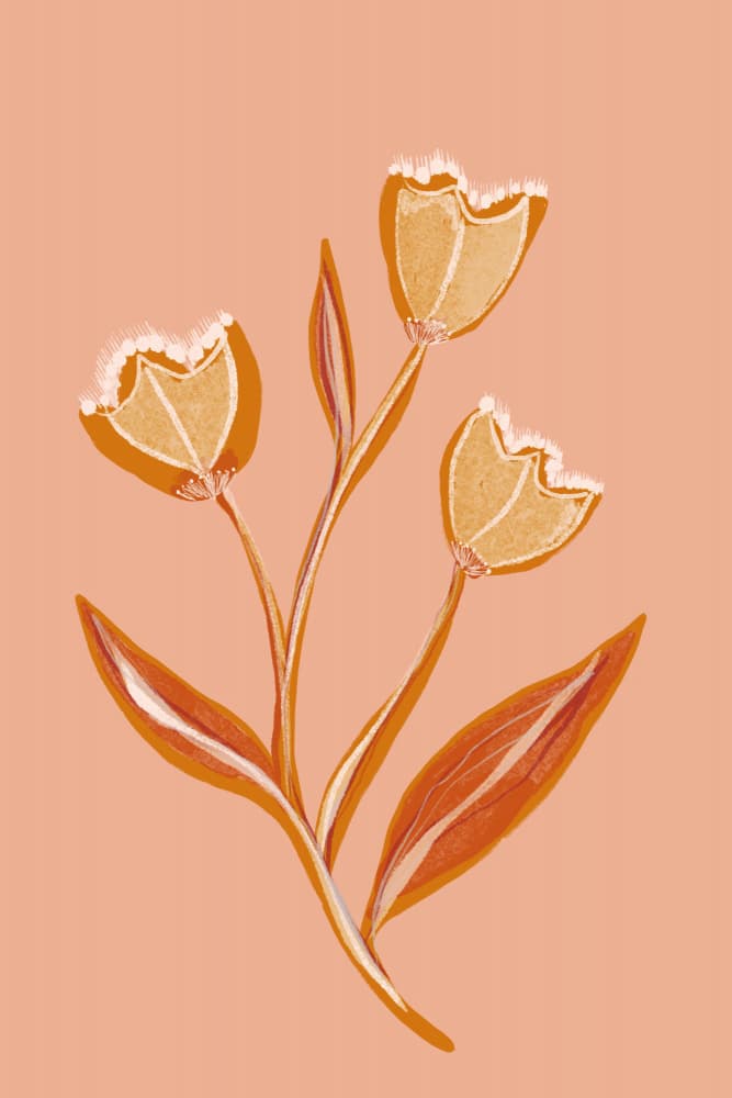 Soft Peach Flowers by Gemma Bardot — canvas wall art