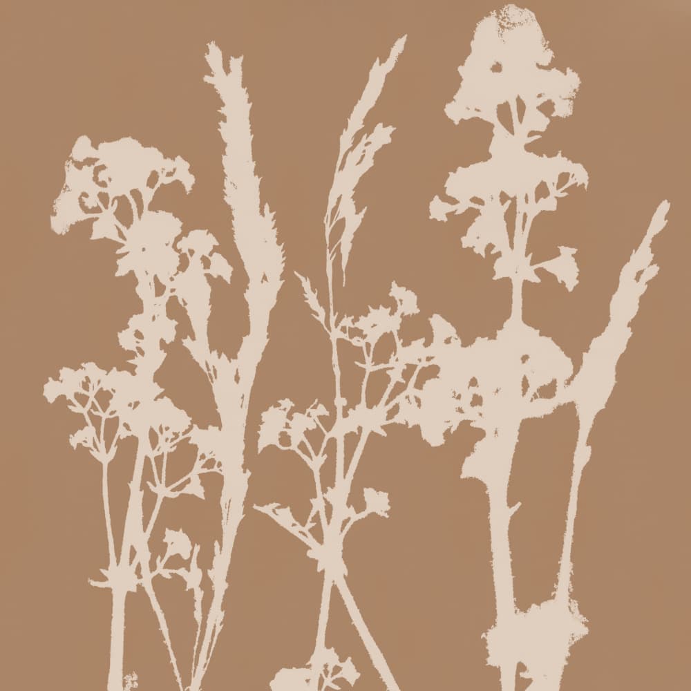 Earthy Botanical Silhouettes by Dina Dankers — canvas wall art