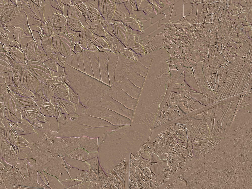 Organic Foliage Pattern by Santhosh ch — canvas wall art