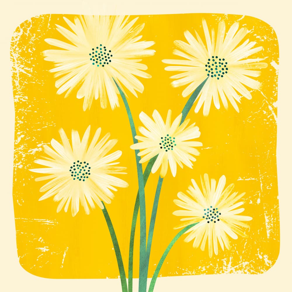 Daisy Bouquet 2 by Kristian Gallagher — canvas wall art