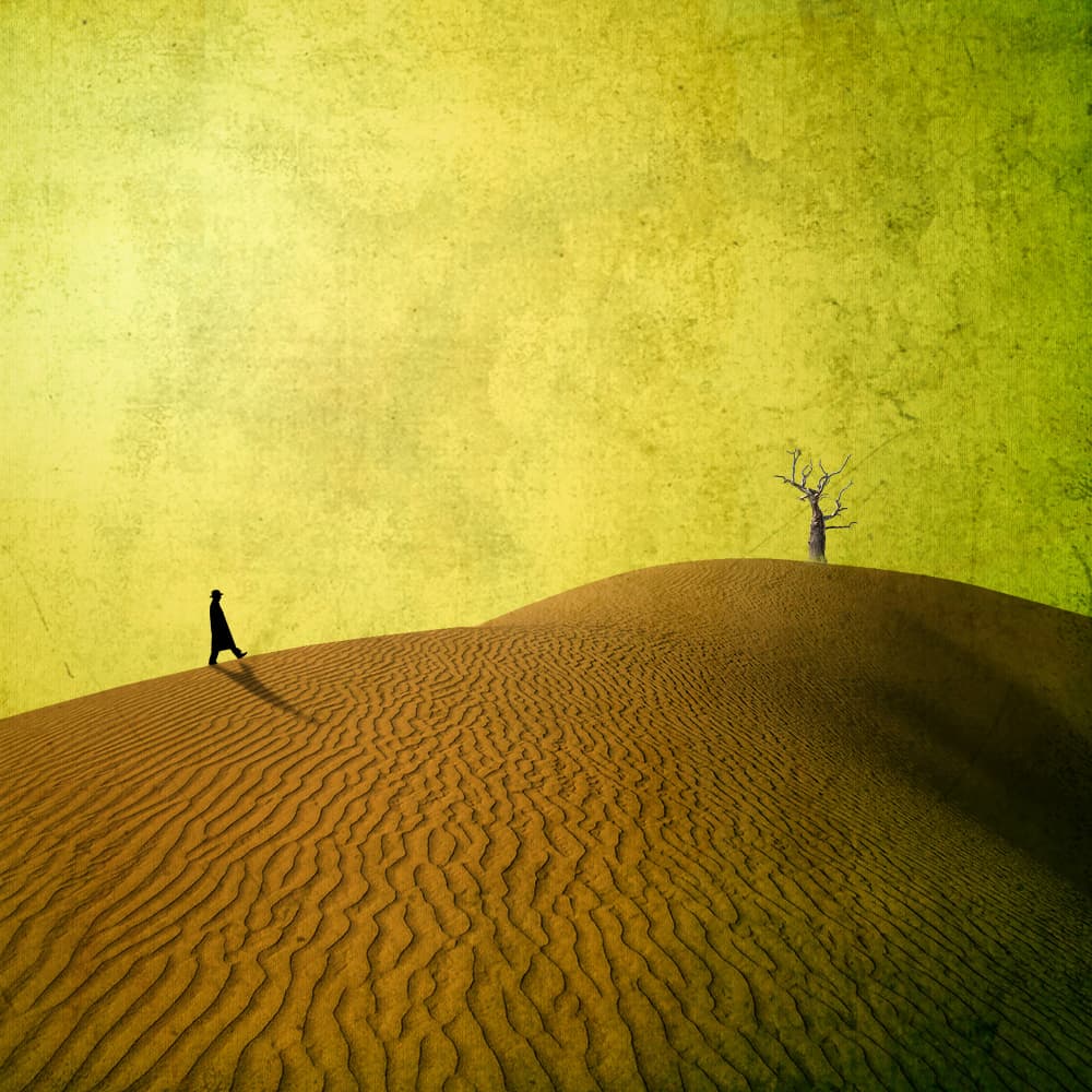 Solitary Desert Journey by Evgenii Novichikhin — canvas wall art