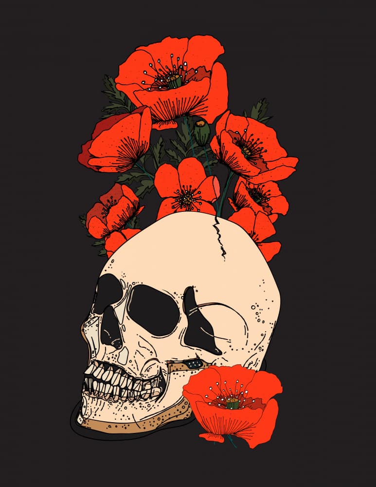 Dark Floral Skull by Nicholas — canvas wall art