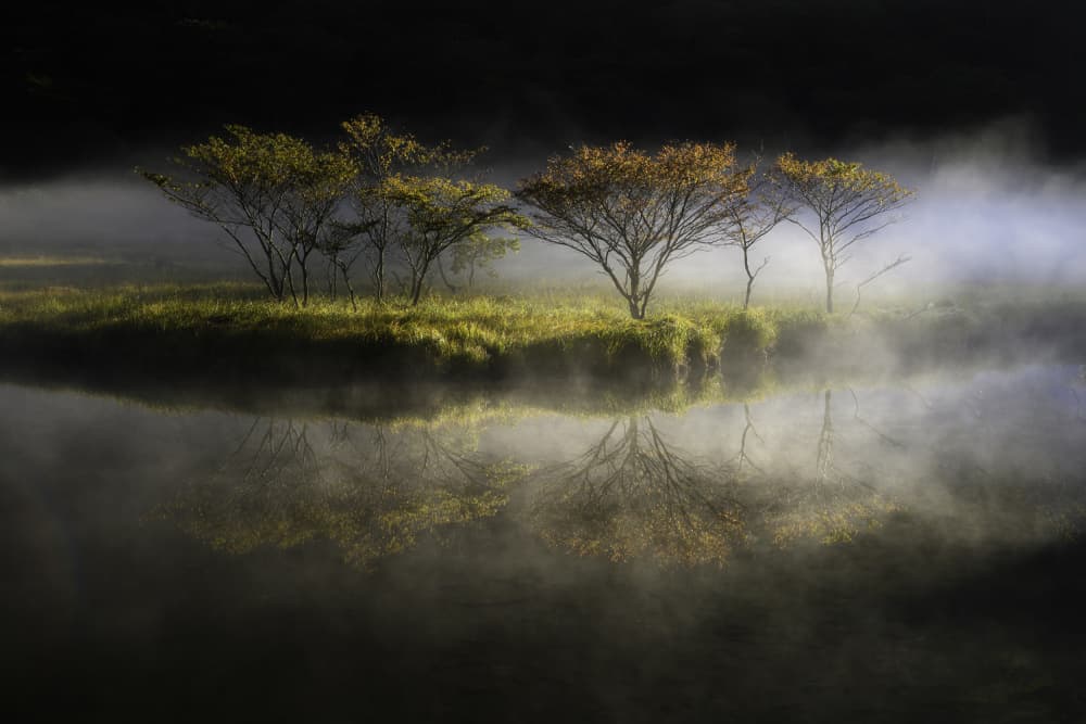Misty Morning Reflection by Akira Nagase — canvas wall art