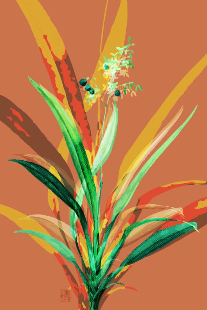Vibrant Botanical Layers by Osvaldo Russo — canvas wall art
