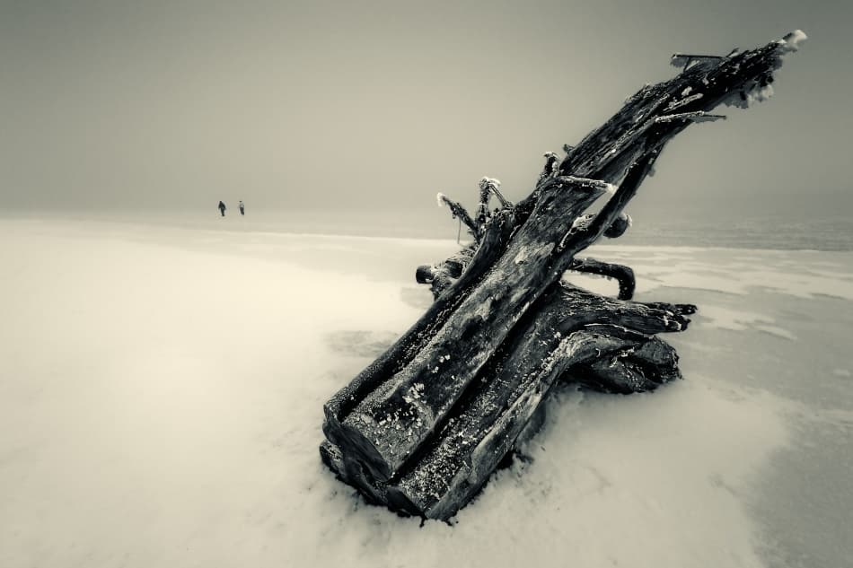 Solitary Winter Driftwood by Juraj Čičatko - (ASON) — canvas wall art