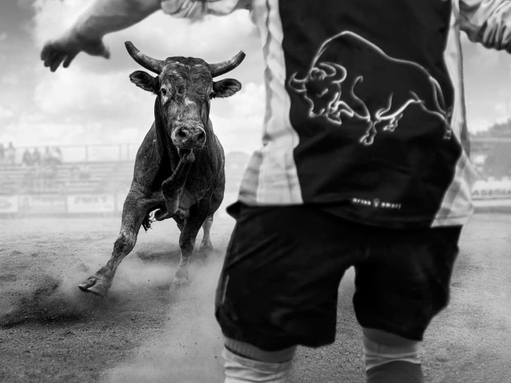 Intense Bullfight Action by Steven Zhou — canvas wall art