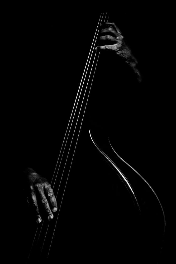 Soulful Bass Hands by Strugala Didier — canvas wall art
