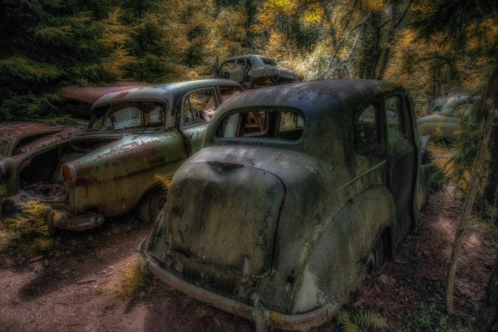 Abandoned Forest Cars by Benny Pettersson — canvas wall art