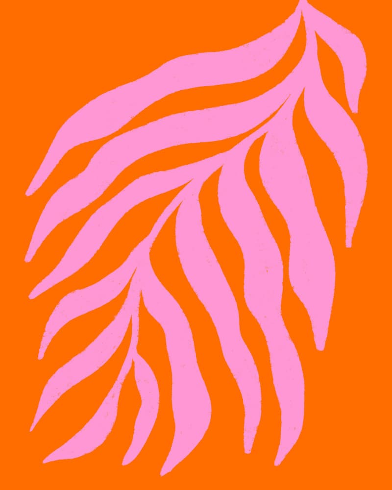 Vibrant Pink Tropical Leaves