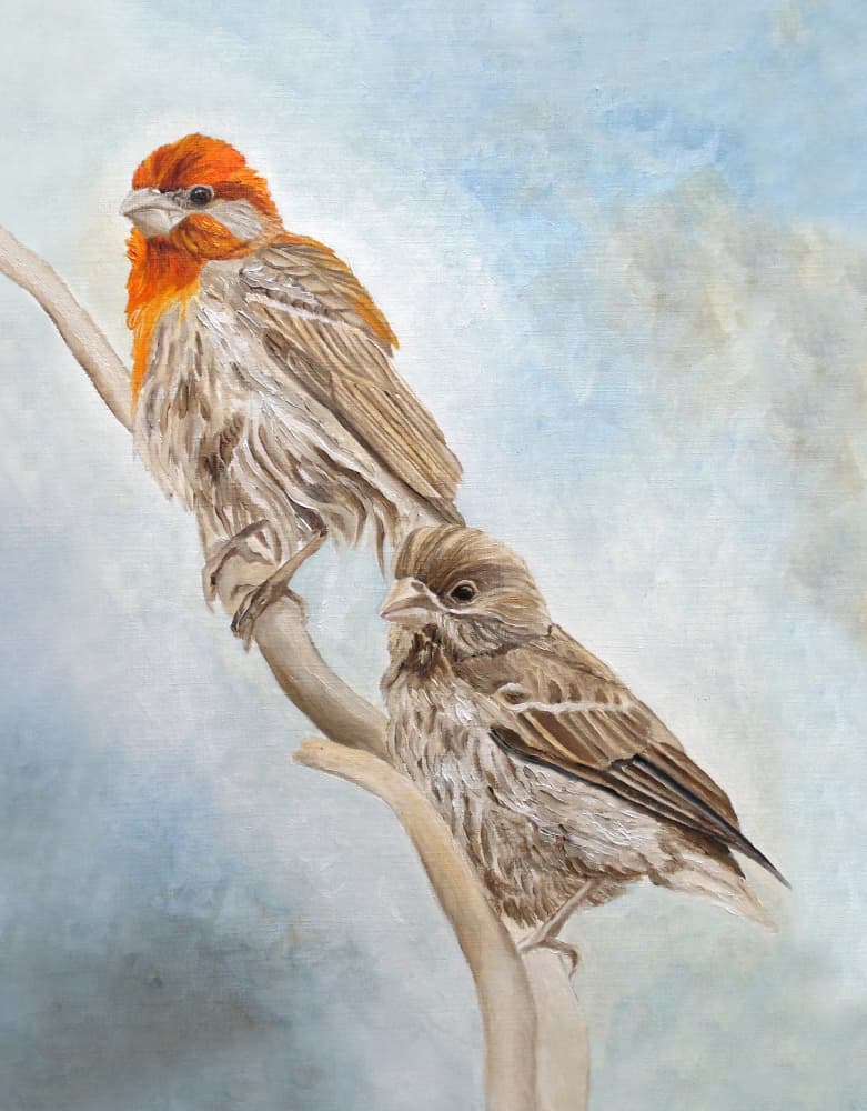 Finches On A Branch by Angeles M. Pomata — canvas wall art