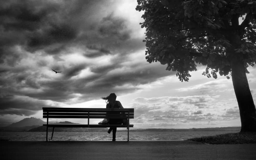Solitary Lakeside Contemplation by Magdalena Roeseler — canvas wall art