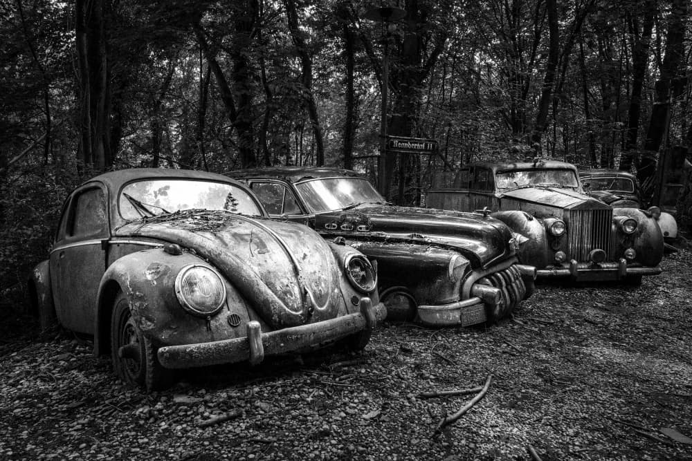 Rusty Forest Classics by Adam Dauria ☂ — canvas wall art