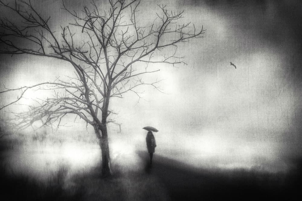 Solitude in the Fog by Teruhiko Tsuchida — canvas wall art